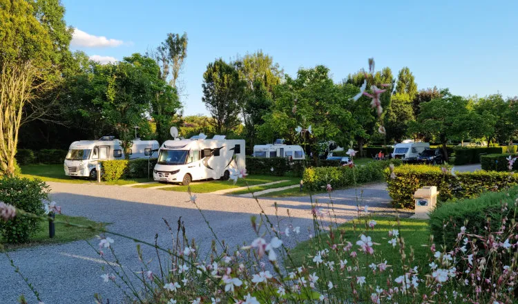 Camping-Car Park cresce em 2025 e prepara nova expansão europeia